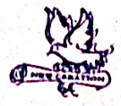 New Creation Logo